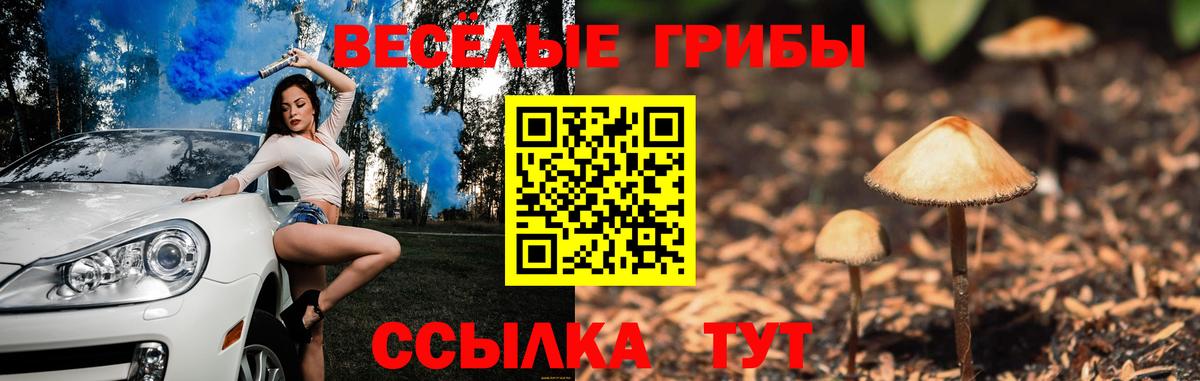 Псилоцибиновые грибы ЛСД  Вход с VPN  Псилоцибиновые грибы Psilocybe  Рубцовск 